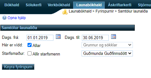 Launakerfi - fyrirspurn launaliðir